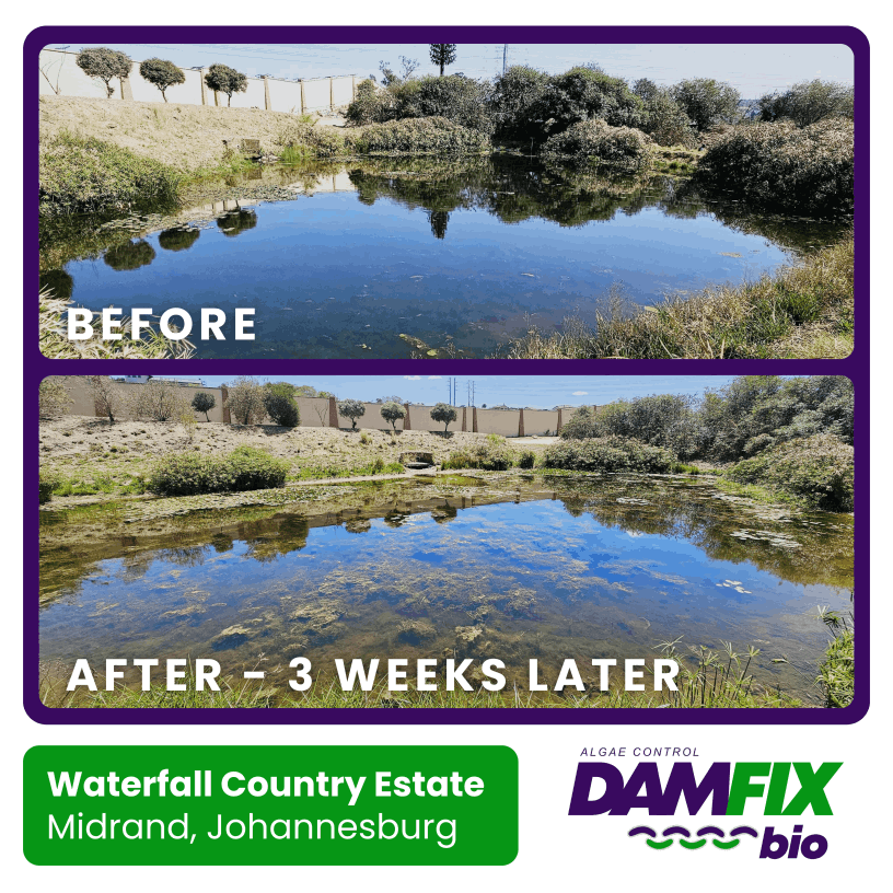 DAMFIX Bio - Before & After - Waterfall Country Estate