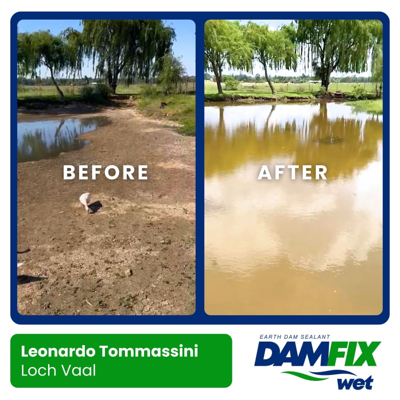 DAMFIX Wet - Before and After - Leonardo Tommassini