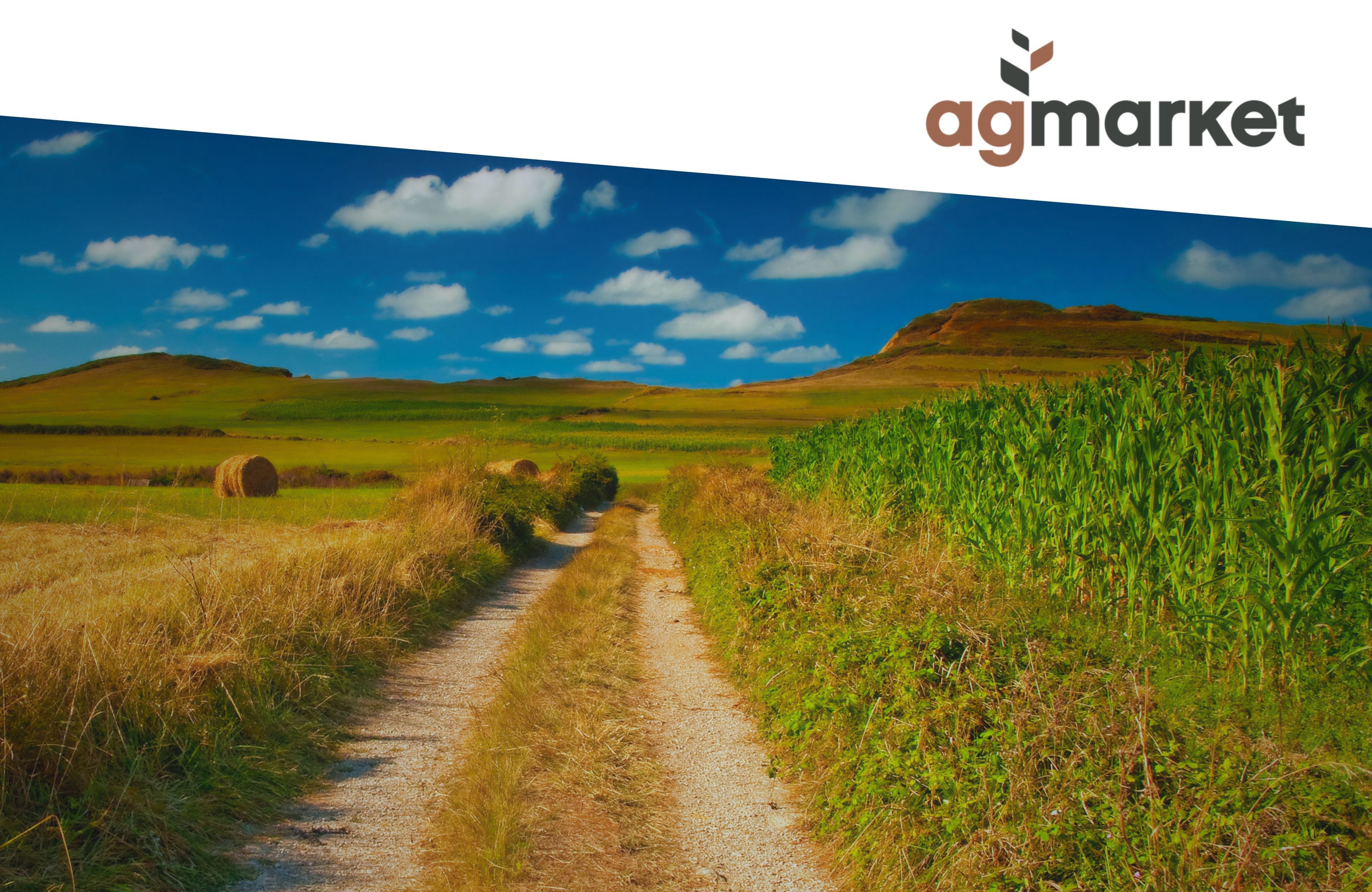 Buy DAMFIX products online at Belinda Boer